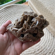 [PRICE REDUCED] Desert Rose Hedgie (Destash)