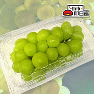 陽光玫瑰香印 (500g)- 1盒 #青提#提子#葡萄 (運送期間或出現少量甩枝)