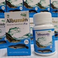 BudakHerbal - PREMIUM FIT ALBUMIN CAPSULES 5X FAST POST-SURGERY CURE - SNAKEFISH ALBUMIN EXTRACT