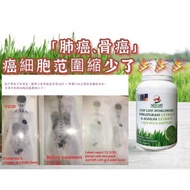 [READY STOCK] New Life Worldwide Wheatgrass &amp; Alfalfa extract + Q10 plus softgel 濃縮小麥草及苜蓿芽軟膠丸