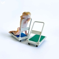 [Reptile Special Attack Team] 24 Hours Reptile Trolley|Reptile Landscaping|Gecko Landscaping|Lizard 