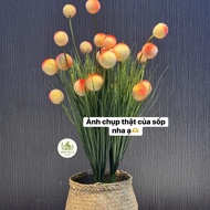 Decor Combo Round Mop Branches, Decorative Quality Fake Mop Branches, Decorative Faux Cotton Mop Bra