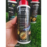 Snakehead Channa Natural Home 200ml - Ubat Kesihatan Ikan Channa