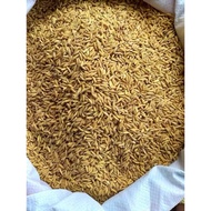 3kg of dried rice for chickens - ducks - birds - geese - geese