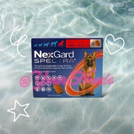 (PER 1 TABLET) Nexgard Spectra XL 30 - 60 Kg Dog Flea and Demodex Medicine