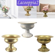 [Lacooppia2] Flower Pot, Delicate Planter, Flower Holder, Plant Container, Flower Pot, Decorative Vase for Wedding, Dried Flowers, Decorative