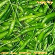 Cabe Rawit Ijo / Cabe Rawit Hijau - 1/2 kg