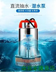 【奈良家雜貨店】【快速出貨】【高端品質】抽水泵12V直流潛水泵農用灌溉V水泵電動車家用0V小型抽水機1207032703