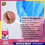 Obat Benjolan Vagina Alami - Obat Benjolan Di Vagina - Kutil Bibir Pagina - Benjolan Kista Bartholin
