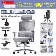 Ergonomic Office Gaming Chair with Adjustable Lumbar Headrest Support 6D 360 Rotation Armrests
