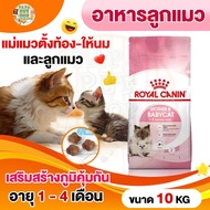 [Babycat] Royal Canin อาหารแมว สูตร Mother&amp;Babycat กระสอบ10กก