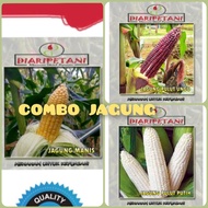 Benih Jagung - jagung manis/jagung pulut ungu/jagung pulut putih Homegarden Pek Combo Jimat Murah