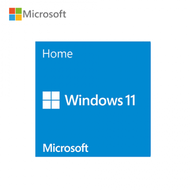 微軟Windows 11 Home 家用中文隨機版 64位元