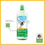 TROPICLEAN Water Additive For Dogs 1L