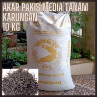 AKAR PAKIS CACAH KARUNGAN 10 KG