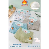 BOYS' BOXERS 5910