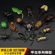 Simulation Beetle Model Children's Cognitive Insect Big Beetle Tenniu Shit Shell Shield Beetle Beetl