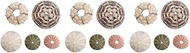 FRCOLOR 15 Pcs Conch Shell Natural Seashells Live Succulents Plants Hanging Flower Pot Hand Decor Desktop Urchin Shell Urchin Shell Ornament Purple Decor Faux Air Plants Fish Tank Cactus