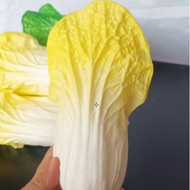 กะหล่ำปลีจำลองผักปลอม Bok Choy เครื่องประดับสำนักงานบ้านผัก