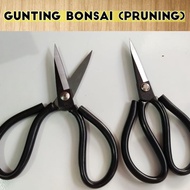 SHARP BONSAI PRUNING SCISSORS
