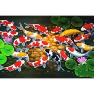 Print Painting, KOI CARFISH, JUMBO Size, 100x70cm & 150x100cm & 200x100cm/Print Poster/Wall Decorati