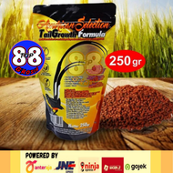 AMS AMERICAN SELECTION TAIL GRWOTH PUR VOER BURUNG MURAI BATU BULU EKOR