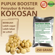Pupuk Booster Kokosan / Obat Booster Buah Kokosan / Pupuk Booster Buah Kokosan / Pupuk Buah Kokosan