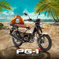 YAMAHA PG-1 Motor Interchange yamaha PG1