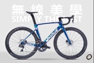 Road Bike winspace t1500 carbon frame disc碳纖維公路車架