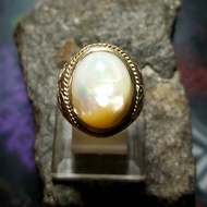 Abalone Shell
