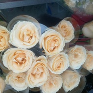 mawar tangkai/bunga mawar asli/bunga segar