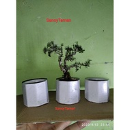 Mini Pot - mini Pot. Quality cement material for ornamental plants