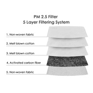 PM 2.5 Filter  ( for Satin face mask )