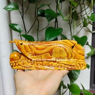Golden Dragon feng shui arowana fish statue made of blood dragon wood