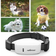 Pet GPS Tracking Collar