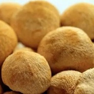 猴头菇 Lion's Mane Mushroom 250g+-