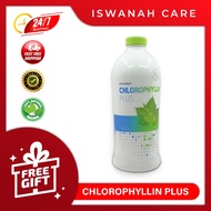 【ORIGINAL】SYNERGY CHLOROPHYLLIN PLUS | Liquid Chlorophyll 25oz (730ml) EXP 2027