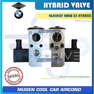 EGELHOF BMW X5 / 5-SERIES G30 / 3-SERIES F30 HYBRID EXPANSION VALVE ( 329567 ) MGC