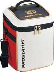 日本進口 ZETT PROSTATUS 電繡金標 仿皮面料 單入裝 手套箱 手拿箱 (BAP1220E)