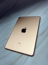 iPad mini 5 256g lte