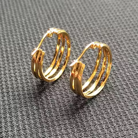 Gold-color Plated Hoop Earrings 316 L Stainless Steel No Easy Fade Allergy Free New Arrived Brief St
