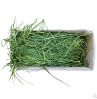 2021 dried wheatgrass rabbit chinchilla guinea pig forage wheatgrass hay net weight 500g