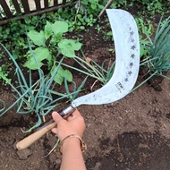 Arit Sadap Nira Pohon Kelapa