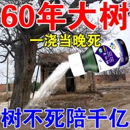 @ Rotten Big Tree Medicine Remove Tree One Drop Deadystock Tree Bamboo Powder Deadystock King Rotten