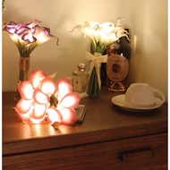 Cara Bouquet LED Mood Light_4colors