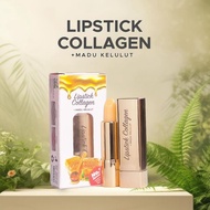 Dherbs lipstick collagen original HQ