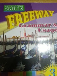 Developing skills  Freeway Grammar& Usage 3