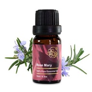 Amour 精油 - Rosemary Essential Oil - 迷迭香 10ml - 100% Pure