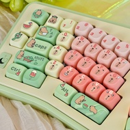 Capybara Keycaps English MOA Profile DYE-SUB PBT Material 120 Keys for All MX 60/66/75/84/87/99/108 