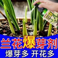 【有機肥】【花肥】猛爆芽開花】蘭花專用營養液 爛根空根莖生根催芽催花液體肥 免稀釋